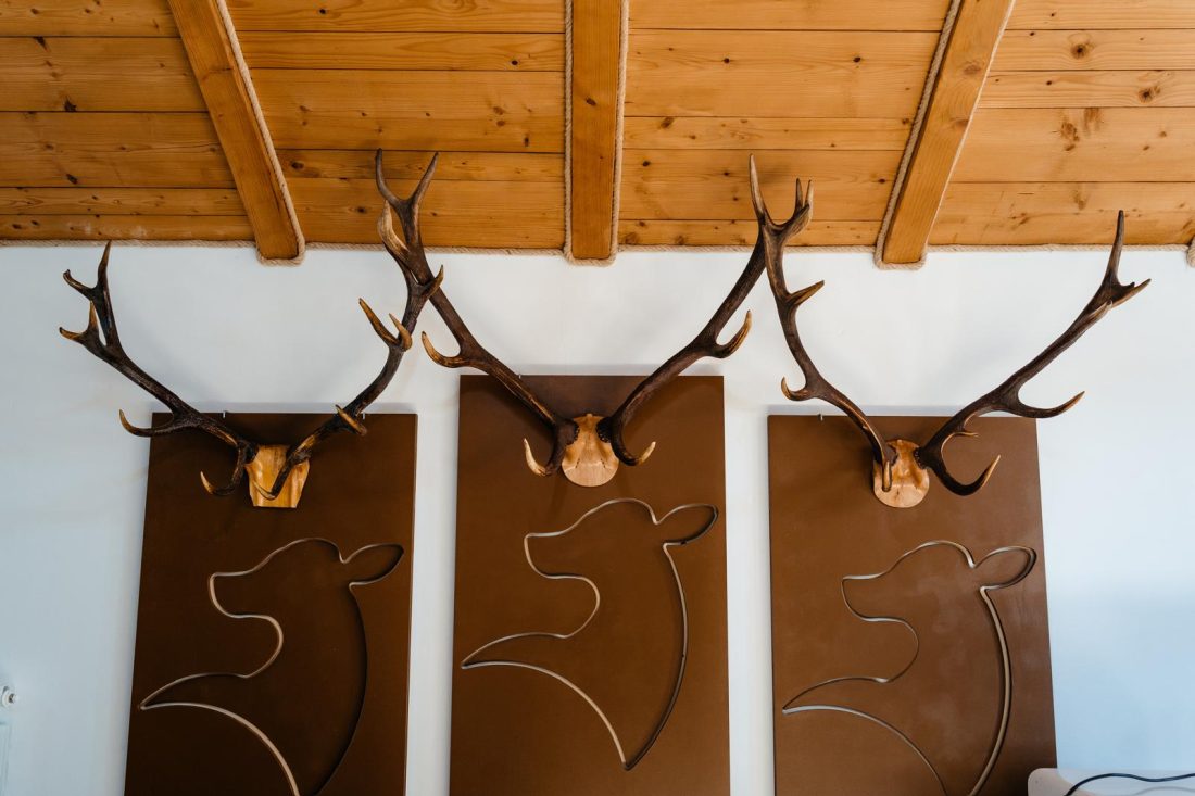 Detaliu decorativ din interior